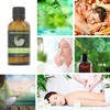 Eucalyptus Citriodora 100% Essential Aromatherapy Oil 50ml