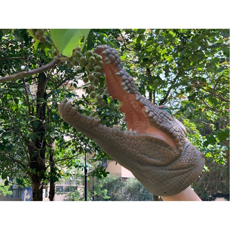 Gemini&Genius Crocodile Hand Puppet Toys Funny & Scared Alligator Head