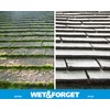 Wet & Forget Moss, Mold, Mildew, & Algae Stain Remover