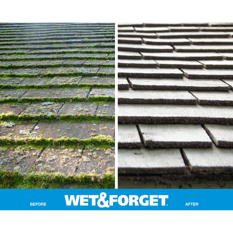 Wet & Forget Moss, Mold, Mildew, & Algae Stain Remover