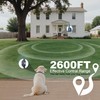 Heaflex Shock Collar with Remote, Dog Training Collar, 4 Training