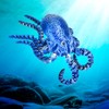 3D Printed Octopus,3D Printed Animals Fidget Toys, Decor for Stress
