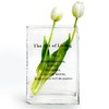 Aoderun Book Vase for Flowers Clear Glass Vase for Book