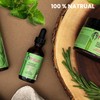 Mielle Organics Sunnydaze Decor MIELLE Colección Romero Mint (aceite, 2