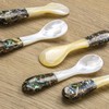 DUEBEL Set of 6 Caviar Spoons with Abalone Handle, 4"