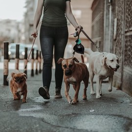 5 Pack Dog Waste Carrier for Leash, Hand Free Poop Bag Holder, Leash Waste Bag Holder Carrier for Doggy Puppies Pet Walking Running Bicycle Accessory (Assort Colors)