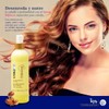 Reparador de Cabello con Oleo y Argán Terramar Bifasico con