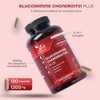 Glucosamine Sulfate & Chondroitin Complex with MSM, Turmeric, Hyaluronic Acid