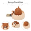 Cartoon USB Flash Drive Brown Bear Cartoon USB2.0 Support Hot