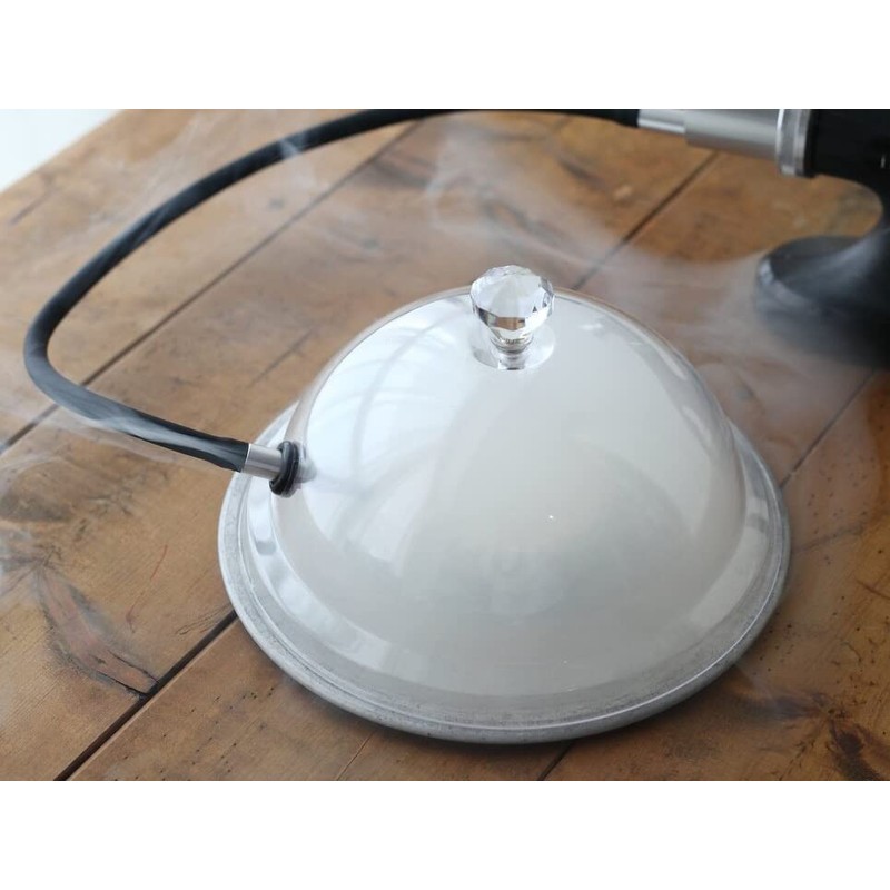 FRUNEP Smoking Dome, Transparent Resin Sealing Cover, Simple Cold and
