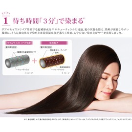 Art Nature LABOMO Gray Hair Dye Scalp Aroma Hair Color Treatment Nouveau [Time-saving, Beauty Moisturizing Ingredients] Floral Aroma Scent (Natural Black)