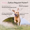 Natürliches Zyklus Regulat Pulver für Hunde - Unterstützung bei Läufigkeit