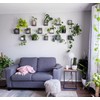 Daniel's Plants Indoor Plant Wall Gallery Shelf Kit | Midcentury