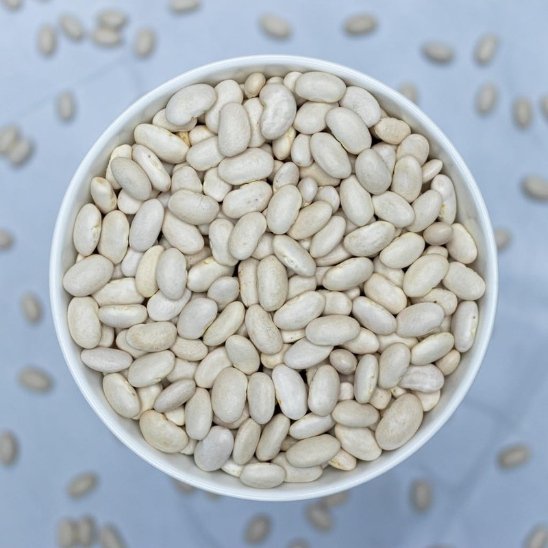 High Plains Great Northern White Beans | 10 Pound Bag