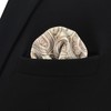 SHLAX&WING Silver Khaki Paisley Mens Pocket Square Hanky Silk New