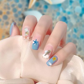 Nail Parts, Natural Shell, Flake Shell, Nail Stone Parts, Starfish, Nail Decoration, Mini Nail Parts Set, 3D Dimensional, Nail Art, Rivet Resin Parts, Seashell Nail Art, Nail Shell Style