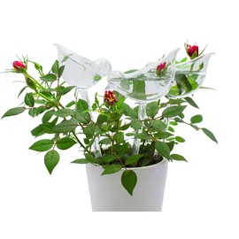 Adabocute Glass Mini Plant Watering Globes - 2 Pack Plant Watering Bulbs Devices - Bird Shape self Watering for Indoor and Outdoor Plants