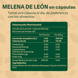 Hongo Melena de León 60 Cápsulas  Lions Mane Mushroom Supplement Nootropic                                                                            
