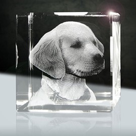3D Glass Laser Photo Cube 50 mm 1 Person or Animal e.g. as a Gift with Your Favourite Animal