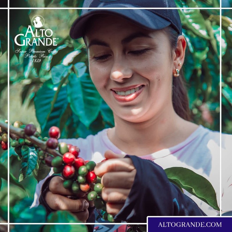 Alto Grande Super Premium Capsules for Nespresso Machines, 100 Percent