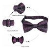 Alizeal Mens Classic Paisley Bow Tie, Hanky and Cufflinks Set,