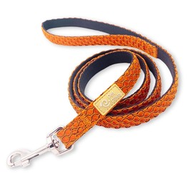 Pet Pilala Dog Leash, Photogenic, Simple, 3D Mesh Material, Lightweight, Durable, Small Dogs, Medium Dogs, Training, Training, 3.8 ft (1.2 m) (Developed by Pet Animal Care Administrator) (Orange, M)