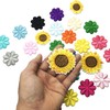 Woohome 35 PCS Mix Flower Iron On Patches Daisy Flower