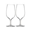 Waterford Elegance Water Glass, Pair