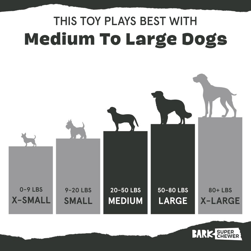 Barkbox Super Chewer Tough Dog Chew Toys for Aggressive Chewers,
