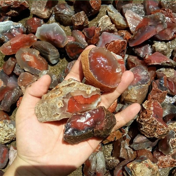HXSCOO 100g Bulk Lot Natural Rough Carnelian Rough Stone Crystal Red Agate Craft Decor