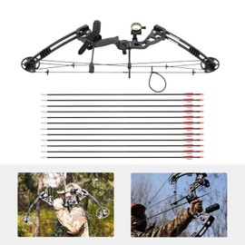 YIYIBYUS Pro Compound Right Hand Bow Kit, Compound Bow Compound Bow Arrows Kit Archery Set Adjustable Portable Bow Hunting Kit