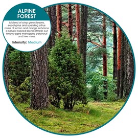 Fresh Products myfreshe Plug-in Air Freshener, Worry-free No Heat, No Glass, Dry Fragrance Refills, Made in the USA - Alpine Forest 2 pack