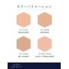 Integrate Gracy Moist Cream Foundation 0.9 oz (25 g)