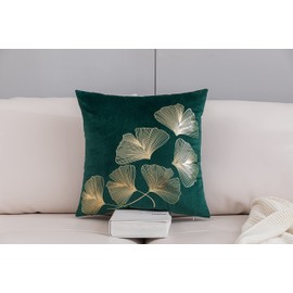 Decor ur Space Gold Ginkgo Leaf Pattern Solid Velvet Pillow Cover Set of 2 (20" x 20", Green)