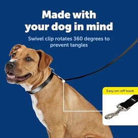PetSafe Correa de nailon para perro, fuerte y duradero, estilo tradicional, con gancho de cuello fácil de usar, disponible en varios anchos y colores, Negro, 3/8 in. x 6 ft.