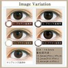 ネオサイト ネオサイトワンデーリングUV ダークブラウン -1.25 30枚入り