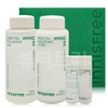Innisfree Green Tea Hyaluronic Acid Skincare Set / 이니스프리 그린티
