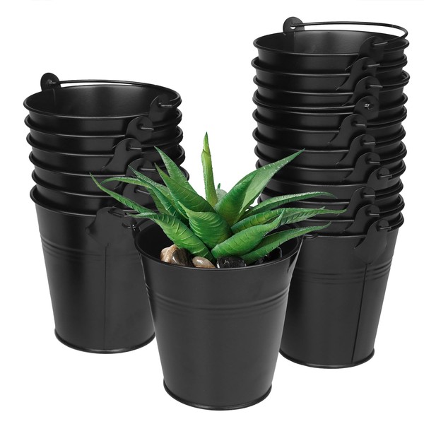 Biugaaufai 20 Pack 4 Inch Black Mini Metal Bucket, Elegant