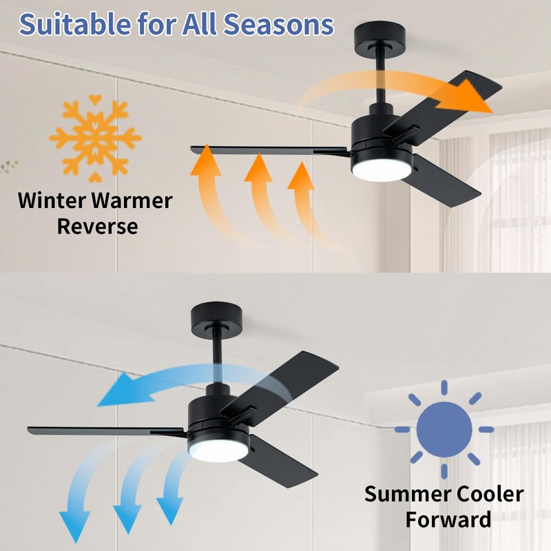 LANMEL 42'' Black Ceiling Fans with Lights and Remote, 6