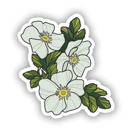 Cherokee Rose White Flowers Spring 2 in. Sticker Decal for Laptop Wall Car Window Bumper Guitar Refrigerator Car Body Folders Vehicle Tailgates