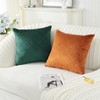 Ystyle Christmas Set of 2 Velvet Cushion Covers, 40 x