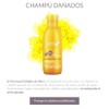 Alea Damaged Hair Shampoo with Argan Oil 18.3oz / 500ml