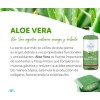 Jabón L{iquido Para Manos De Sábila Y/o Yogurt Sheló Nabel