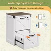 DEVAISE 2 Drawer File Cabinet with Lock, Wood Farmhouse Filing