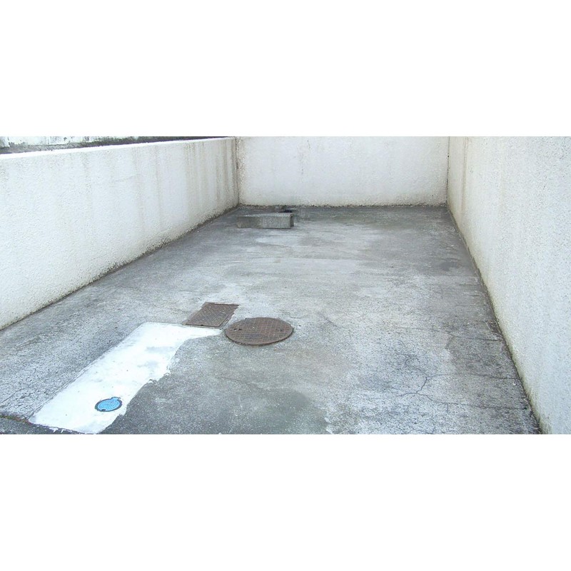 toyak moss mold remover 420ml