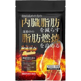 Nensho Kakumei Premium Black Ginger HCA Supplement, 90 tablets for 30 days (1 unit) / 넨쇼 카쿠메이 프리미엄 블랙진저 HCA 서플리먼트 30일분 90정 1개