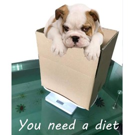 Smart Digital Pet Scale for Food & Baby Care - 22 lbs Capacity, Multi-Function Weight Scale for Puppy, Cat, Small Animals with Precise Grams/Oz Measurement