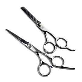 Shizuka (Hyundai Hmall) Shizuka Hair Cut Beauty Straight Scissors + Thinning Shears 2-Piece Set