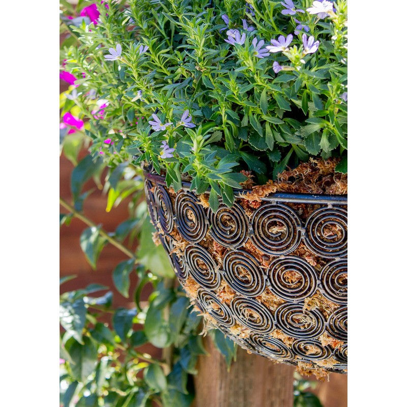 SuperMoss (22330) Orchid Sphagnum Moss Dried, Natural, 2.1lbs Small Bale