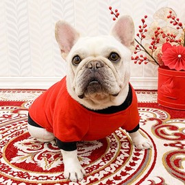 ANIAC Fall Dog Sweater for Medium Dog Girl Boy Fleece Dog Shirt with Long Sleeves Puppy Sweatshirt Red Dog Hoodies Warm Dog Clothes for Medium Dog 2-44 LB(Red, X-Large)